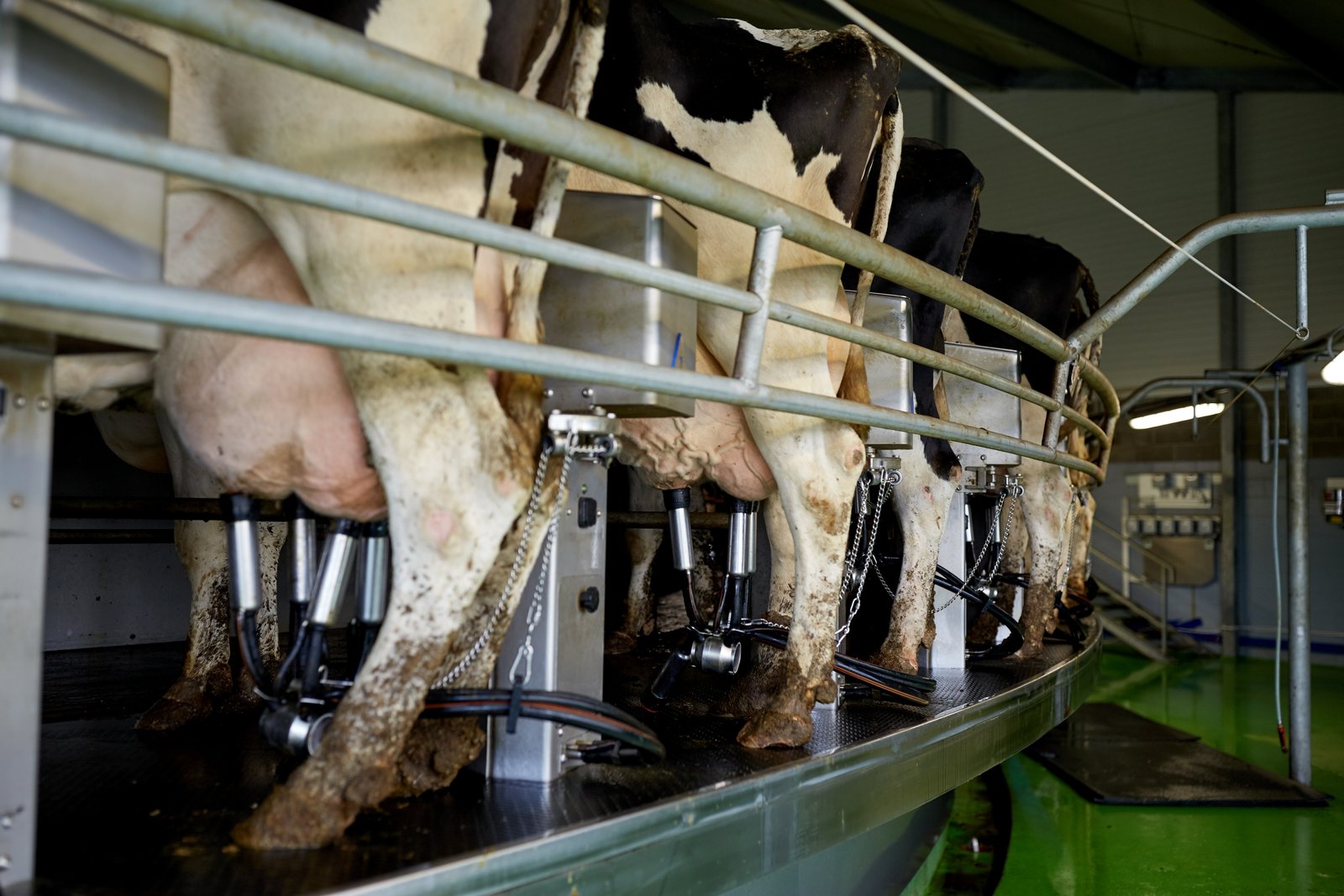 Dairy Operations